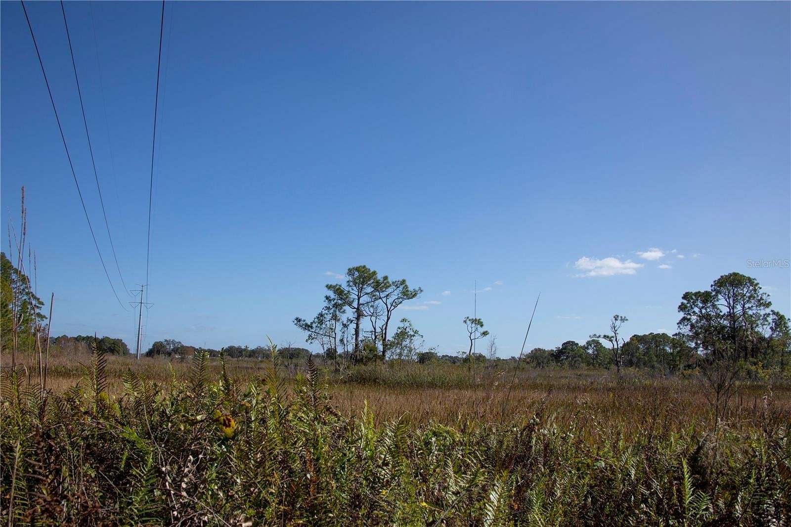 35.64 Acres of Agricultural Land for Sale in Holiday, Florida