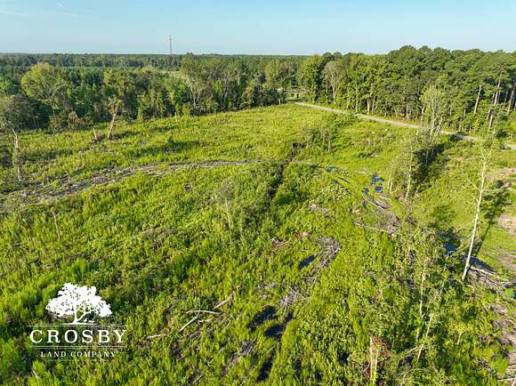 40 Acres of Land for Sale in Walterboro, South Carolina