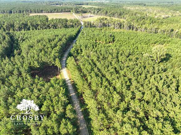 79 Acres of Recreational Land for Sale in Walterboro, South Carolina