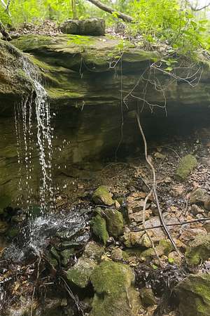 8.38 Acres of Recreational Land for Sale in Falcon, Missouri