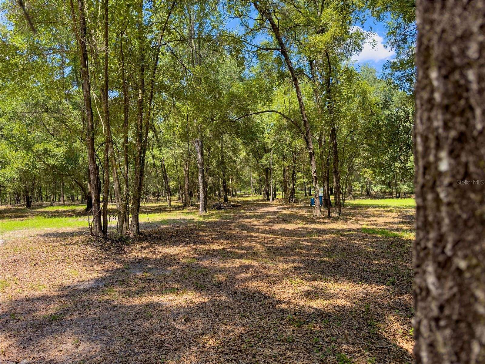 5.01 Acres of Residential Land for Sale in High Springs, Florida