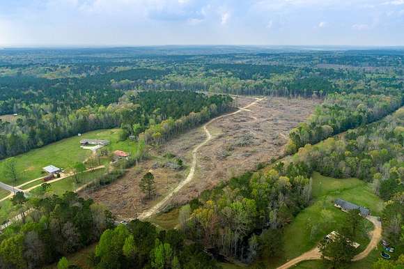 43 Acres of Land for Sale in Silver Creek, Mississippi