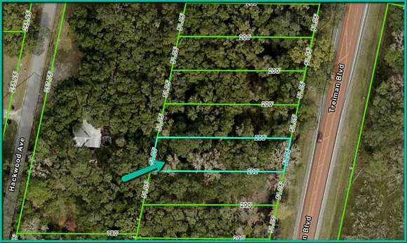 0.23 Acres of Mixed-Use Land for Sale in Webster, Florida