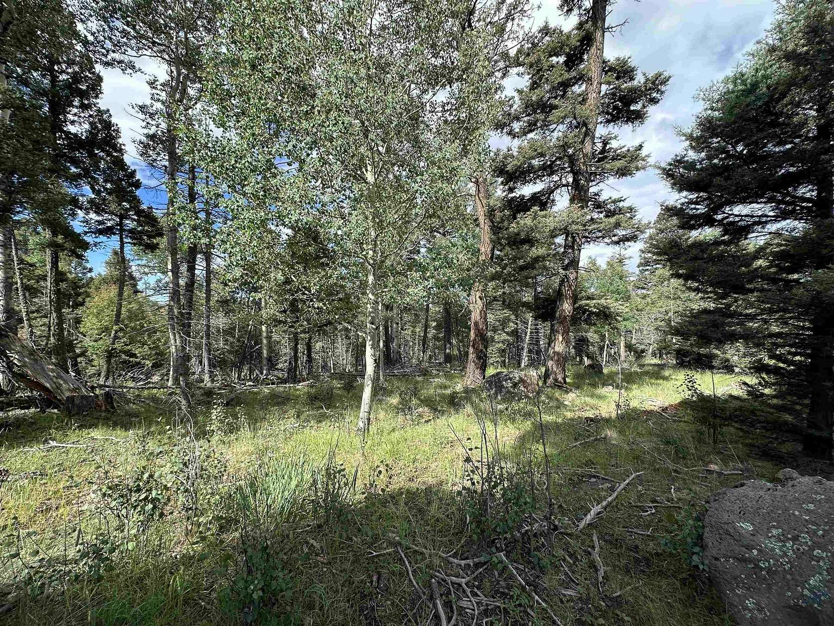 0.85 Acres of Residential Land for Sale in Angel Fire, New Mexico