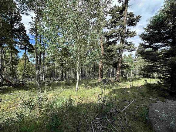 0.85 Acres of Residential Land for Sale in Angel Fire, New Mexico