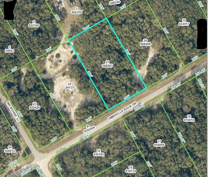 1.16 Acres of Residential Land for Sale in Webster, Florida