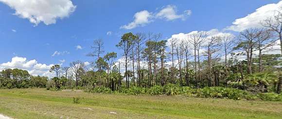 Residential Land for Sale in LaBelle, Florida