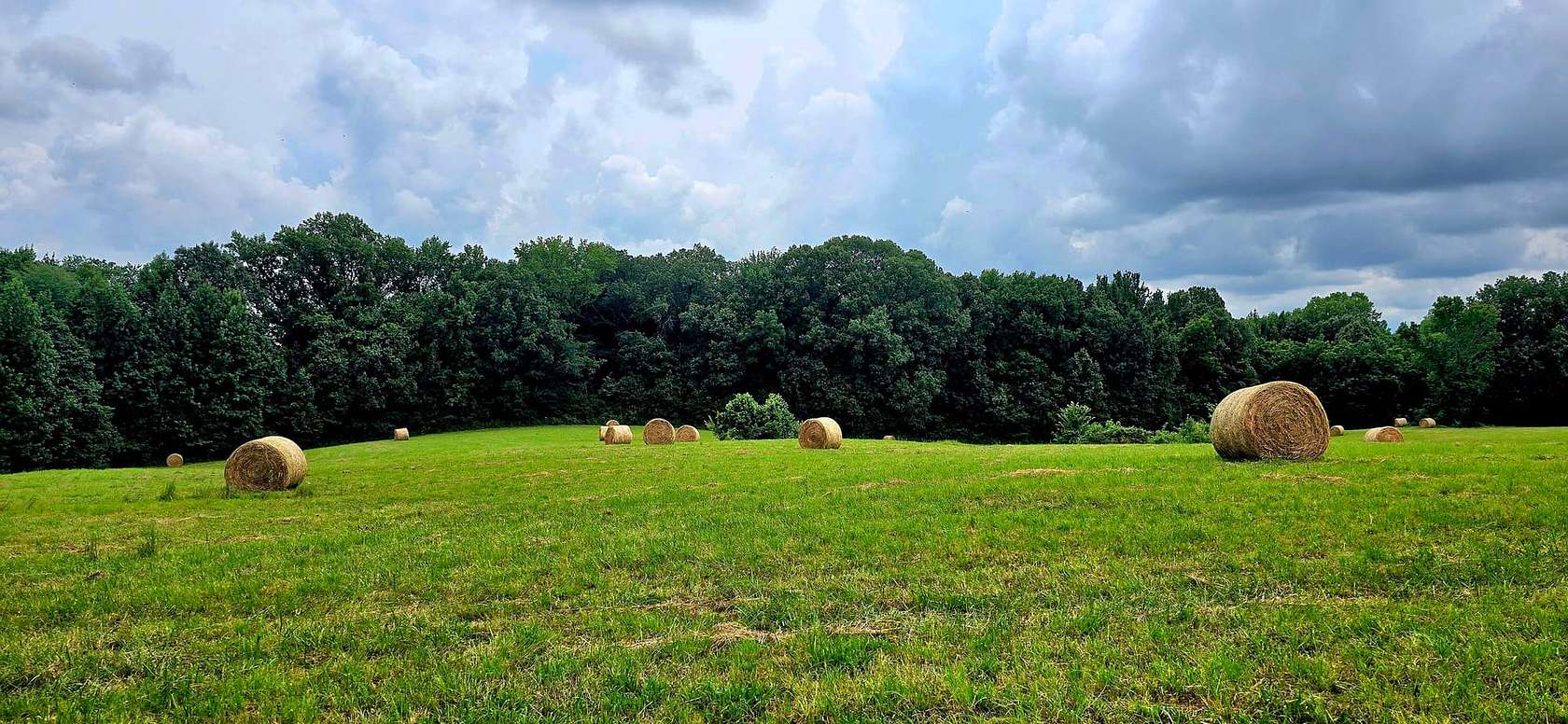 101 Acres of Land with Home for Sale in Arp, Tennessee