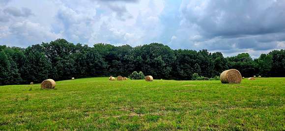 100 Acres of Land with Home for Sale in Arp, Tennessee