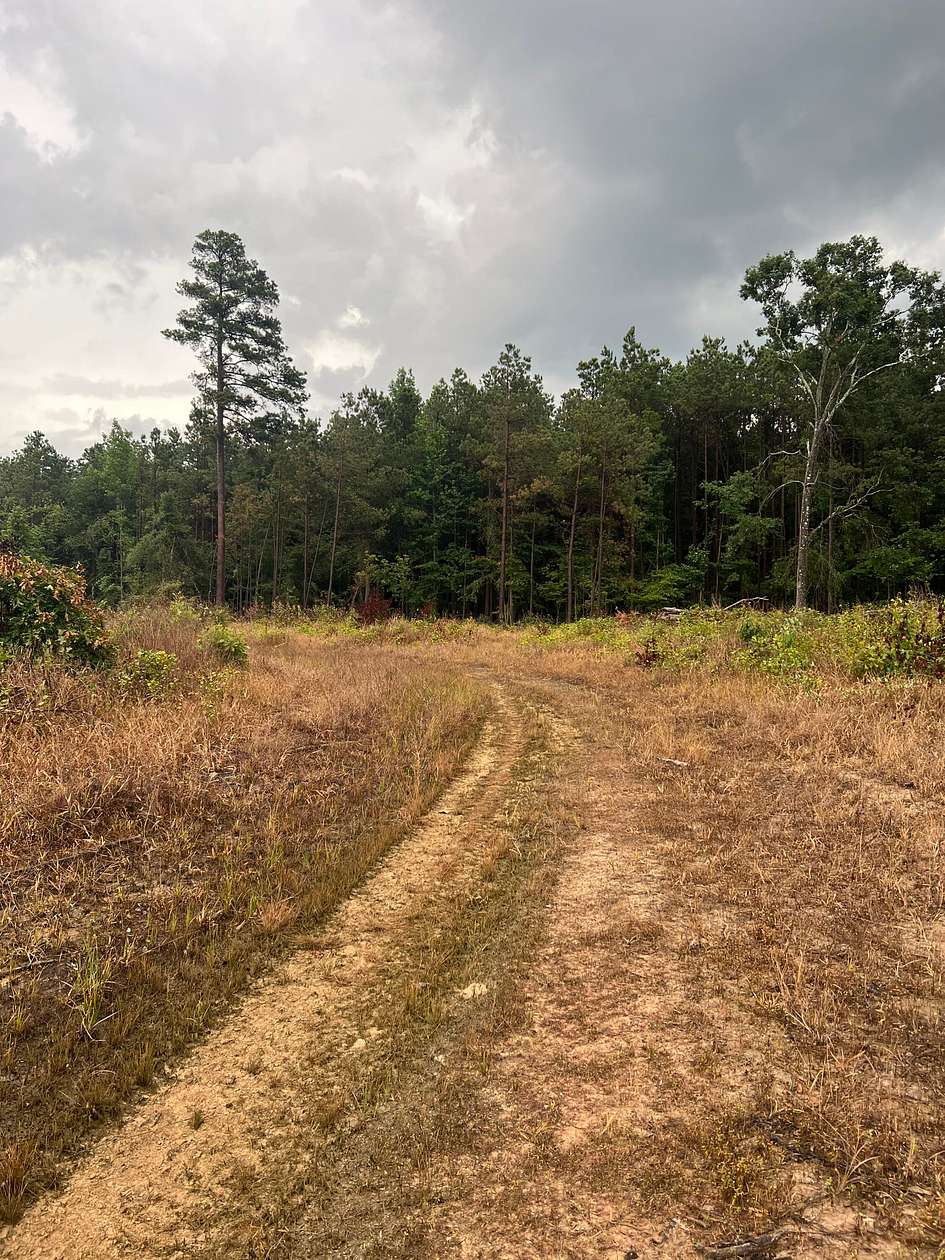 90 Acres of Recreational Land for Sale in Pine Bluff, Arkansas