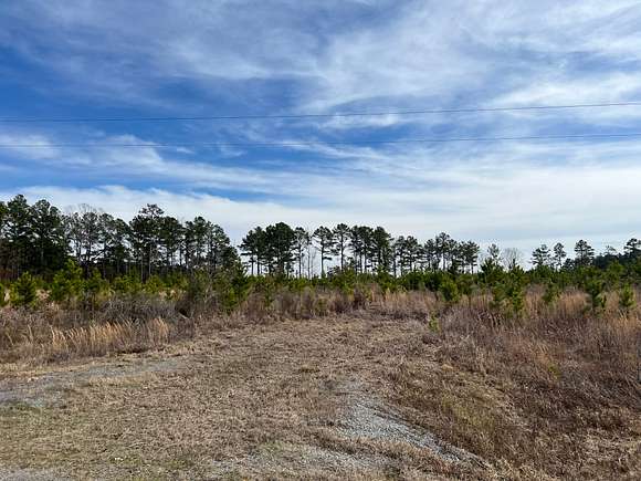 16.8 Acres of Recreational Land for Sale in Pine Bluff, Arkansas