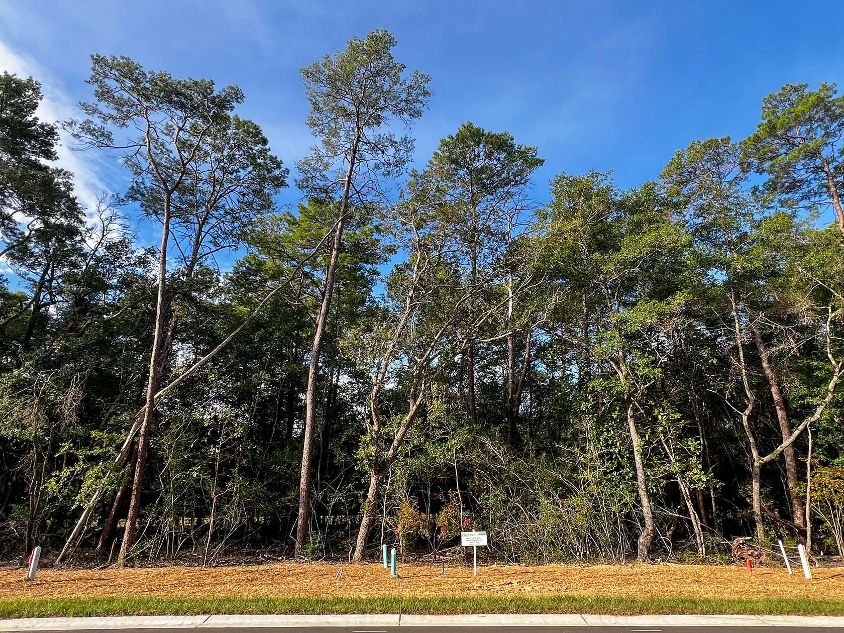 0.23 Acres of Mixed-Use Land for Sale in Niceville, Florida