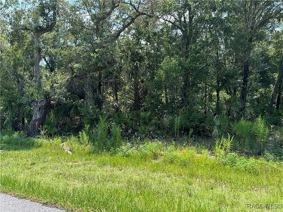 1.23 Acres of Residential Land for Sale in Crystal River, Florida