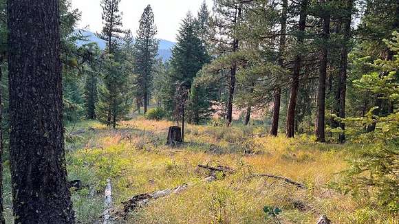 7.133 Acres of Residential Land for Sale in New Meadows, Idaho