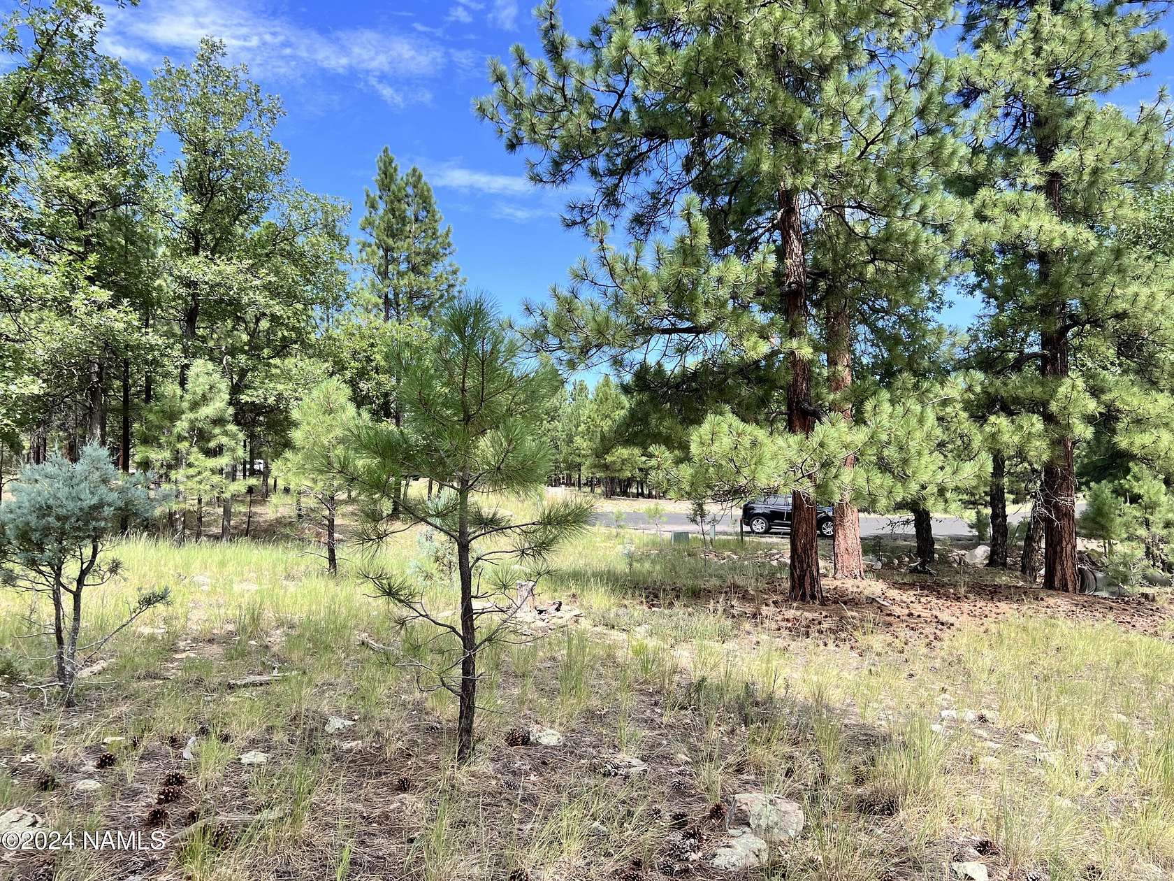 0.93 Acres of Residential Land for Sale in Happy Jack, Arizona