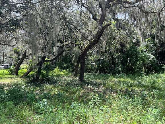 0.42 Acres of Residential Land for Sale in Lake Panasoffkee, Florida