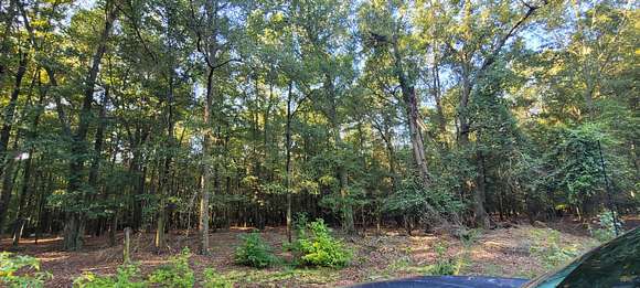 94 Acres of Land for Sale in Beech Island, South Carolina