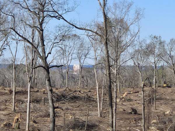 73 Acres of Land for Sale in Beech Island, South Carolina