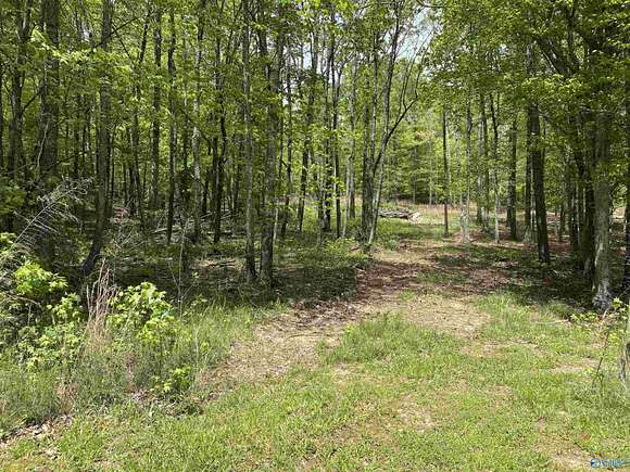 34.5 Acres of Land for Sale in Fort Payne, Alabama