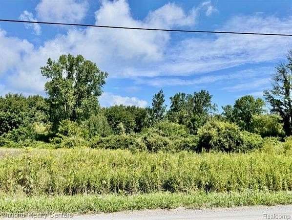 5 Acres of Residential Land for Sale in Fort Gratiot, Michigan