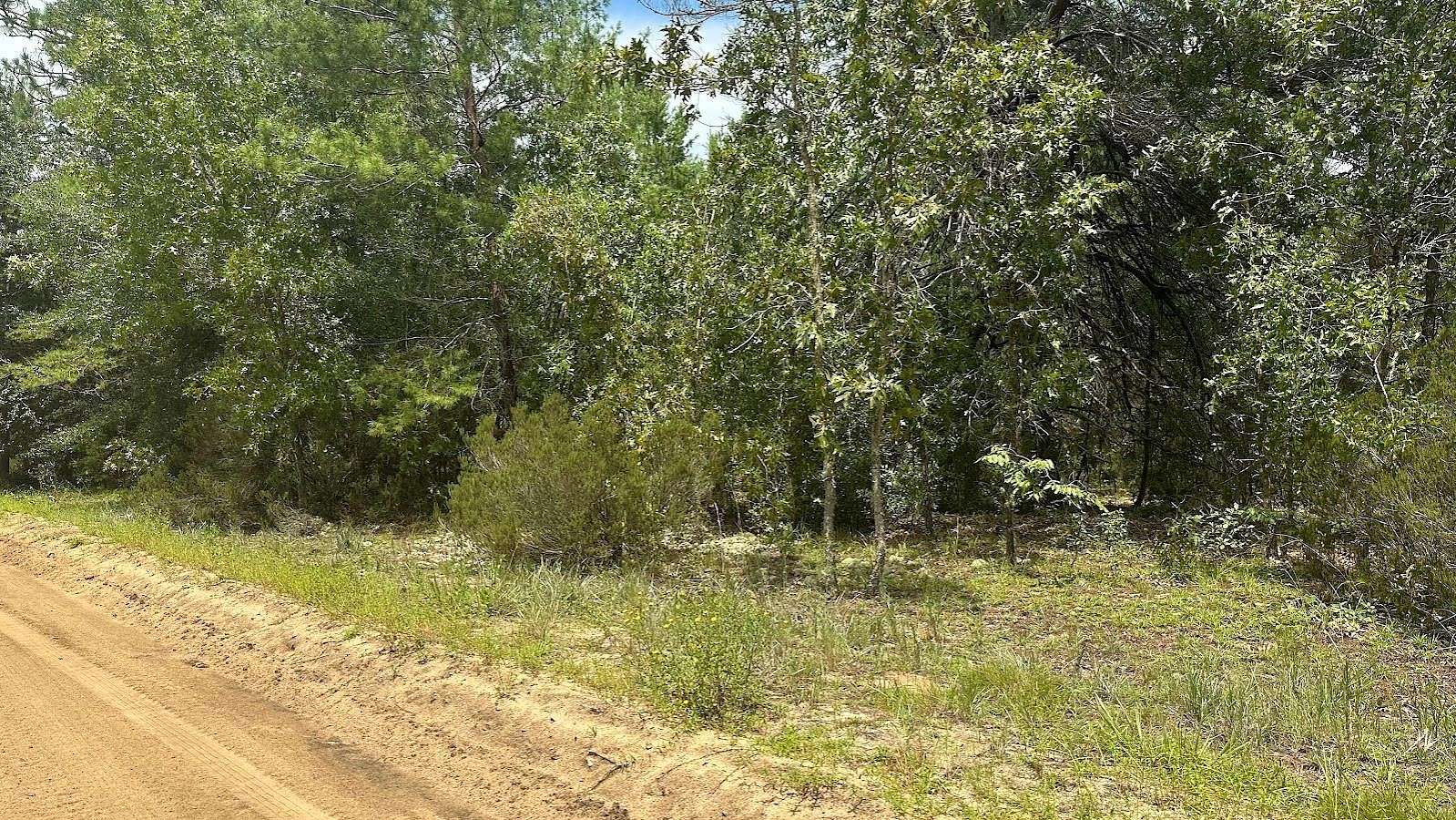 0.23 Acres of Residential Land for Sale in Georgetown, Florida