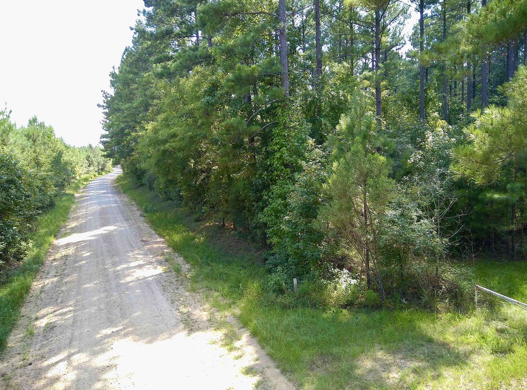 30.62 Acres of Land for Sale in Greensboro, Georgia