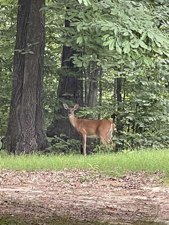 3 Acres of Commercial Land for Sale in Forrest City, Arkansas