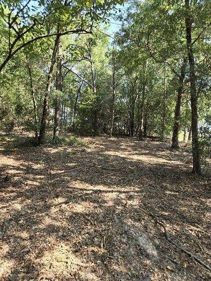 0.79 Acres of Residential Land for Sale in DeFuniak Springs, Florida