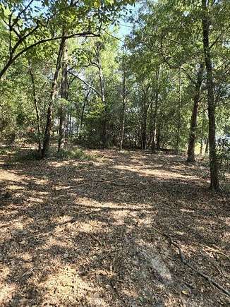 0.79 Acres of Residential Land for Sale in DeFuniak Springs, Florida