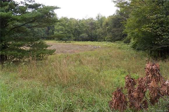 5.8 Acres of Residential Land for Sale in Mountain Dale, New York