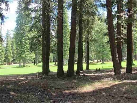 0.4 Acres of Residential Land for Sale in Lake Almanor West, California