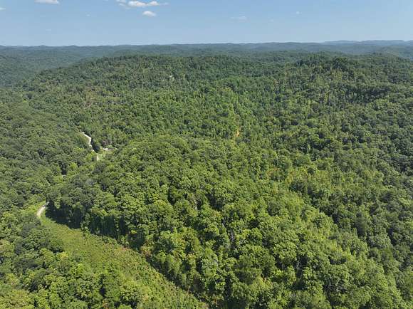 66.66 Acres of Recreational Land for Sale in Crum, West Virginia