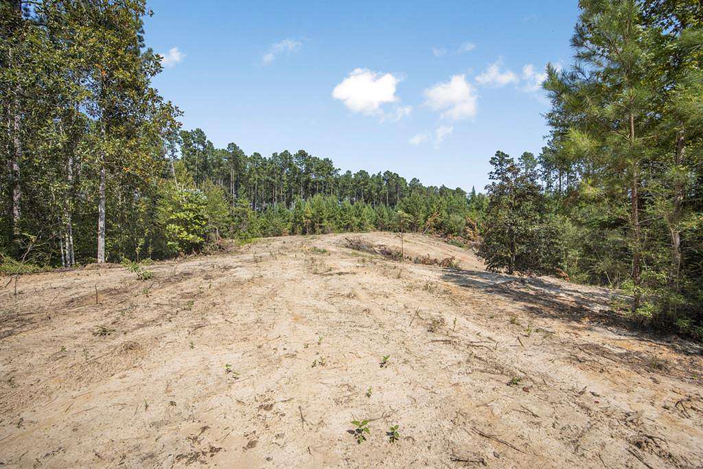 42 Acres of Recreational Land & Farm for Sale in Gloster, Mississippi