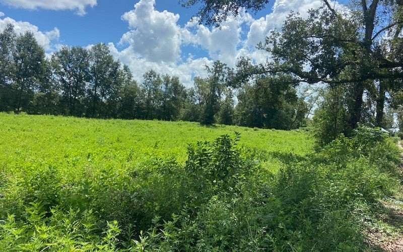 5.98 Acres of Residential Land for Sale in Lee, Florida