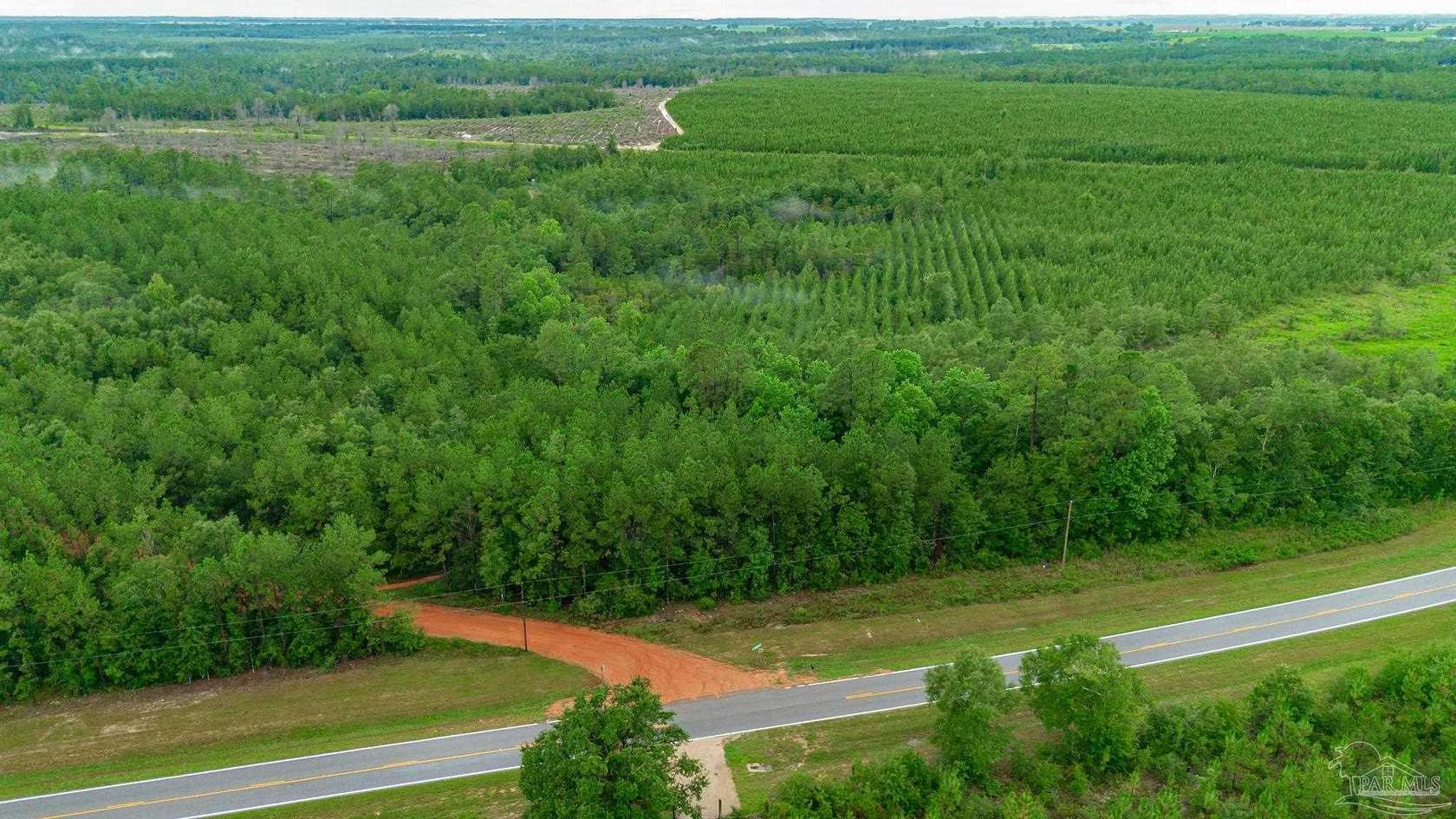 13.2 Acres of Land for Sale in Jay, Florida