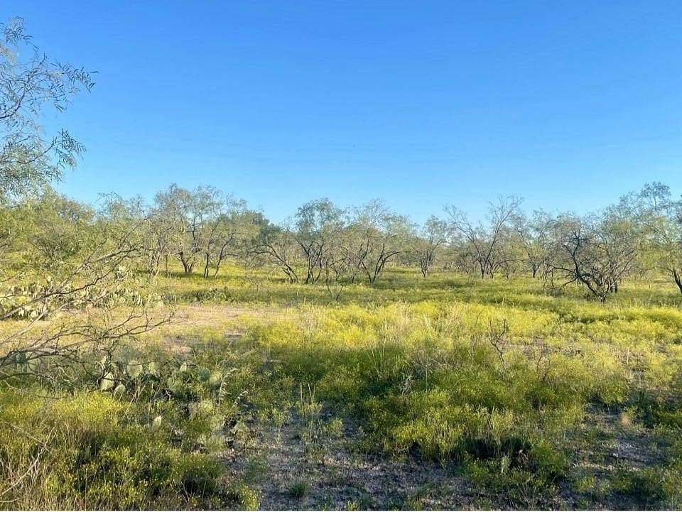 29.03 Acres of Recreational Land for Sale in Eden, Texas