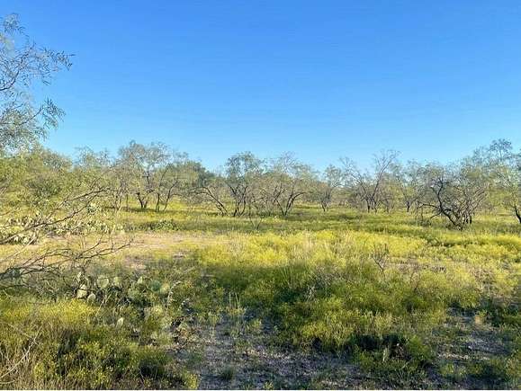 29.03 Acres of Recreational Land for Sale in Eden, Texas