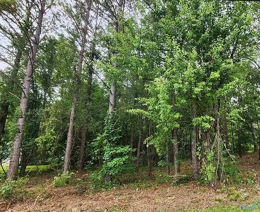 1 Acre of Residential Land for Sale in Gurley, Alabama