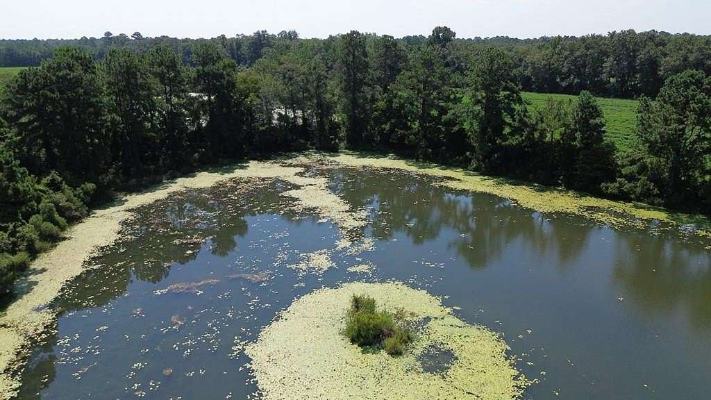 28 Acres of Land for Sale in Thomasville, Georgia