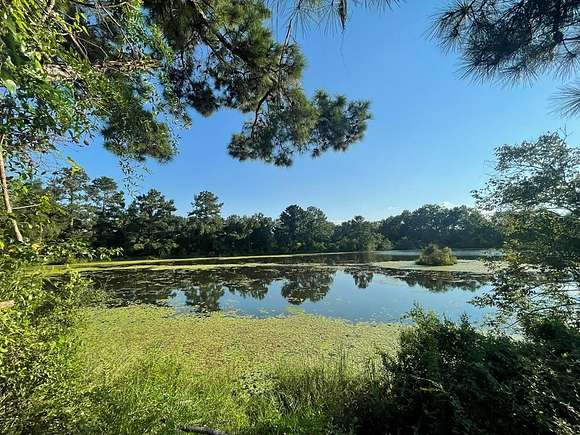 28 Acres of Land for Sale in Thomasville, Georgia