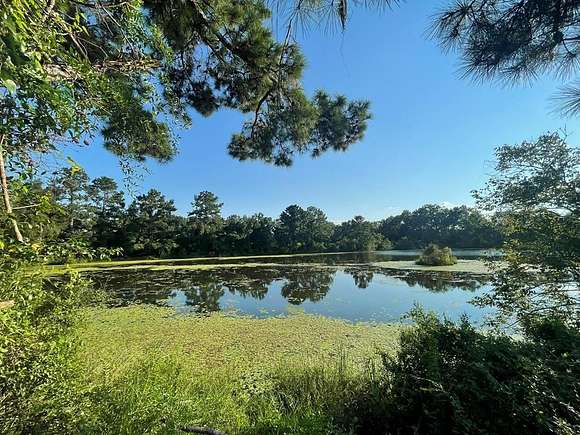 29 Acres of Land for Sale in Thomasville, Georgia