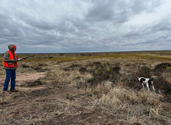 320 Acres of Recreational Land & Farm for Sale in Vinson, Oklahoma