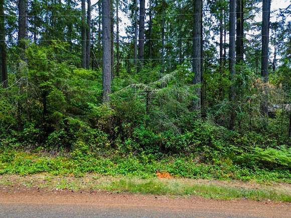 0.192 Acres of Land for Sale in Anderson Island, Washington