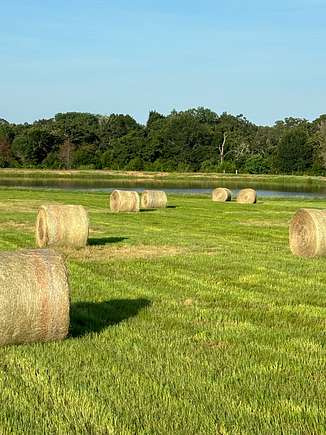 87 Acres of Agricultural Land for Sale in Hearne, Texas