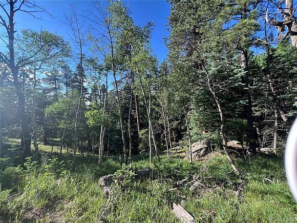 0.1 Acres of Land for Sale in Rye, Colorado