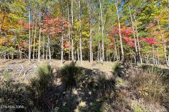 0.39 Acres of Land for Sale in Crossville, Tennessee