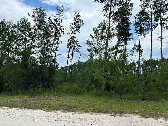 5.06 Acres of Land for Sale in Morriston, Florida