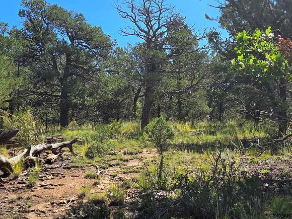 4.87 Acres of Residential Land for Sale in Cotopaxi, Colorado