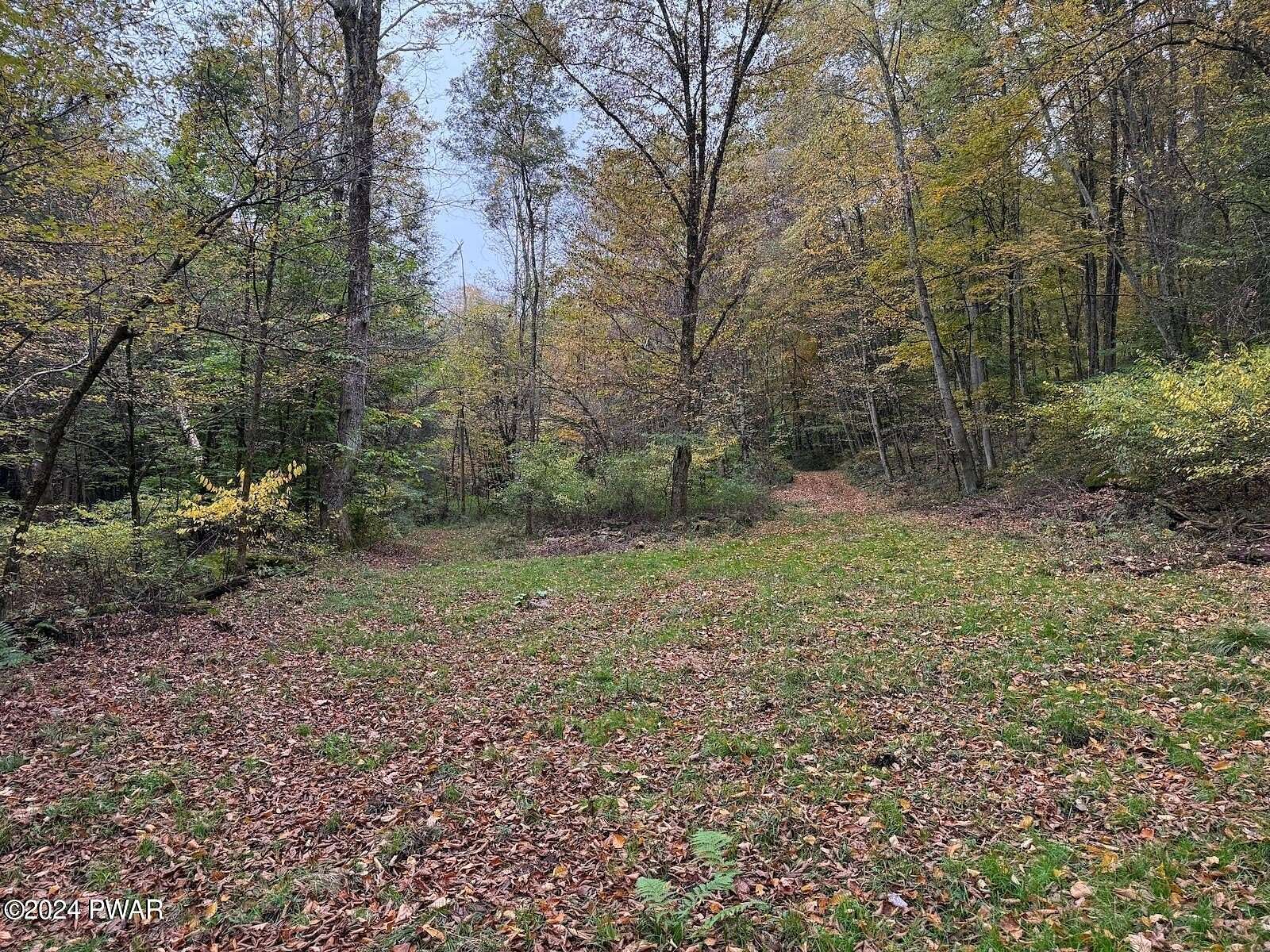 68.65 Acres of Land for Sale in Honesdale, Pennsylvania