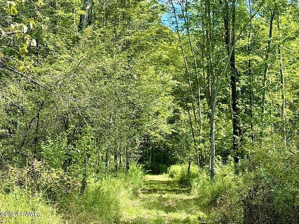 68.7 Acres of Land for Sale in Honesdale, Pennsylvania